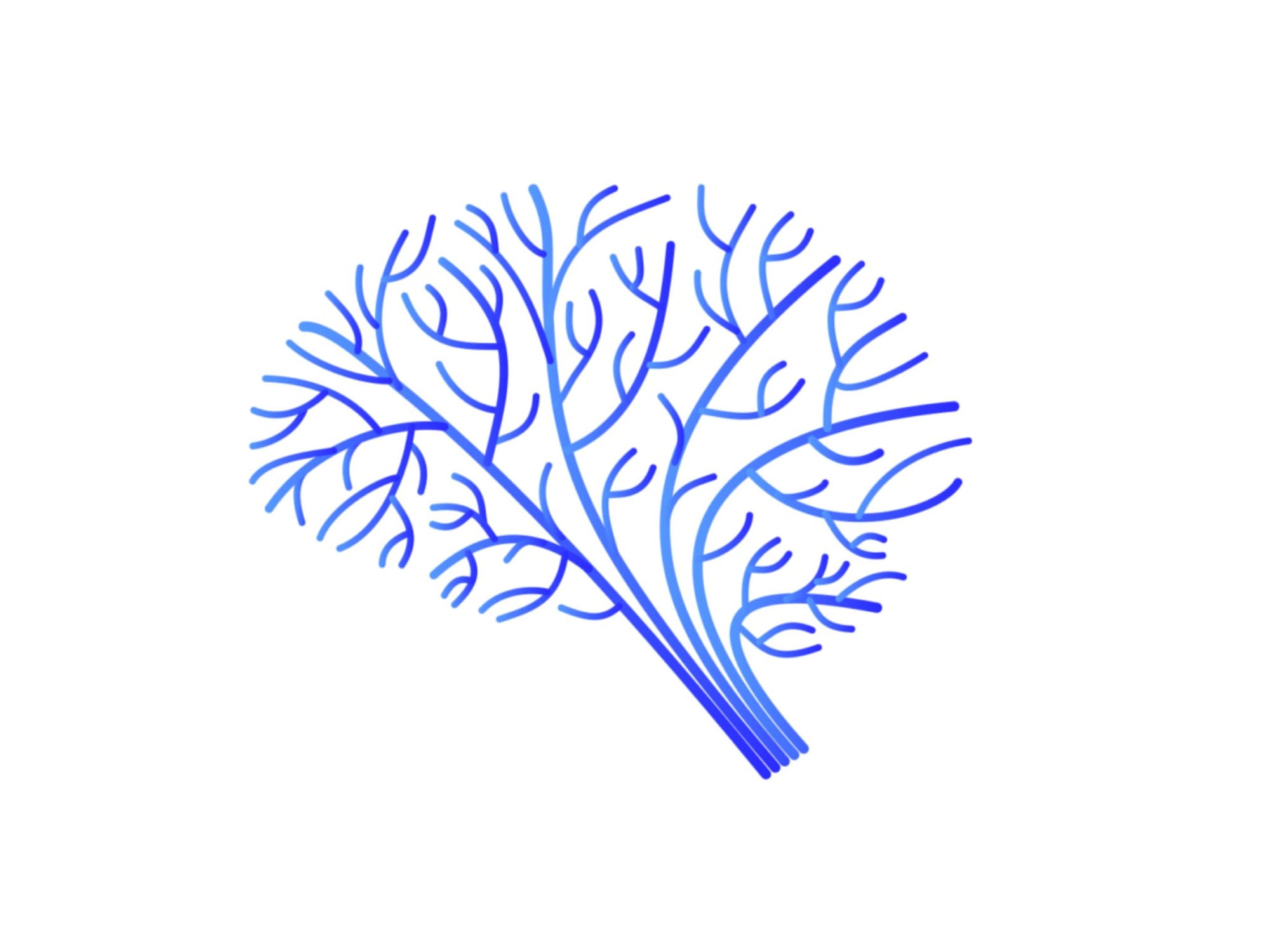 Neurofitness 