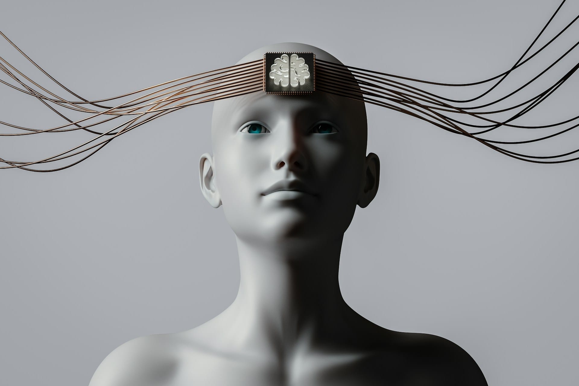 Mindfuel