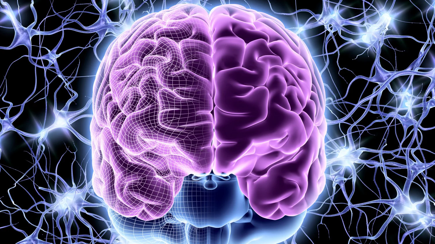 Neurofitness