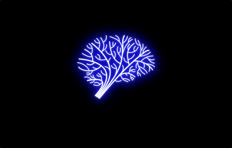 Neurofitness