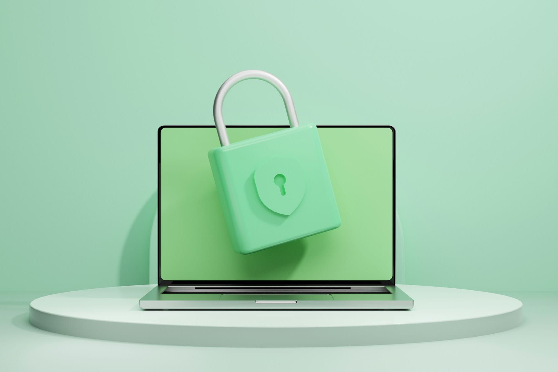 Practical Steps for Protecting Your Data AI