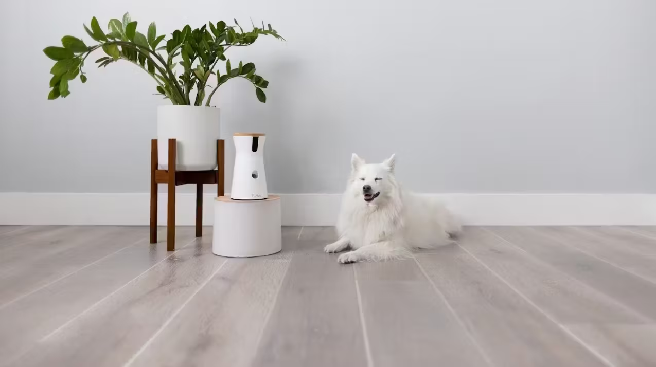 Furbo 360 Dog Camera - AI-Powered Pet Monitoring