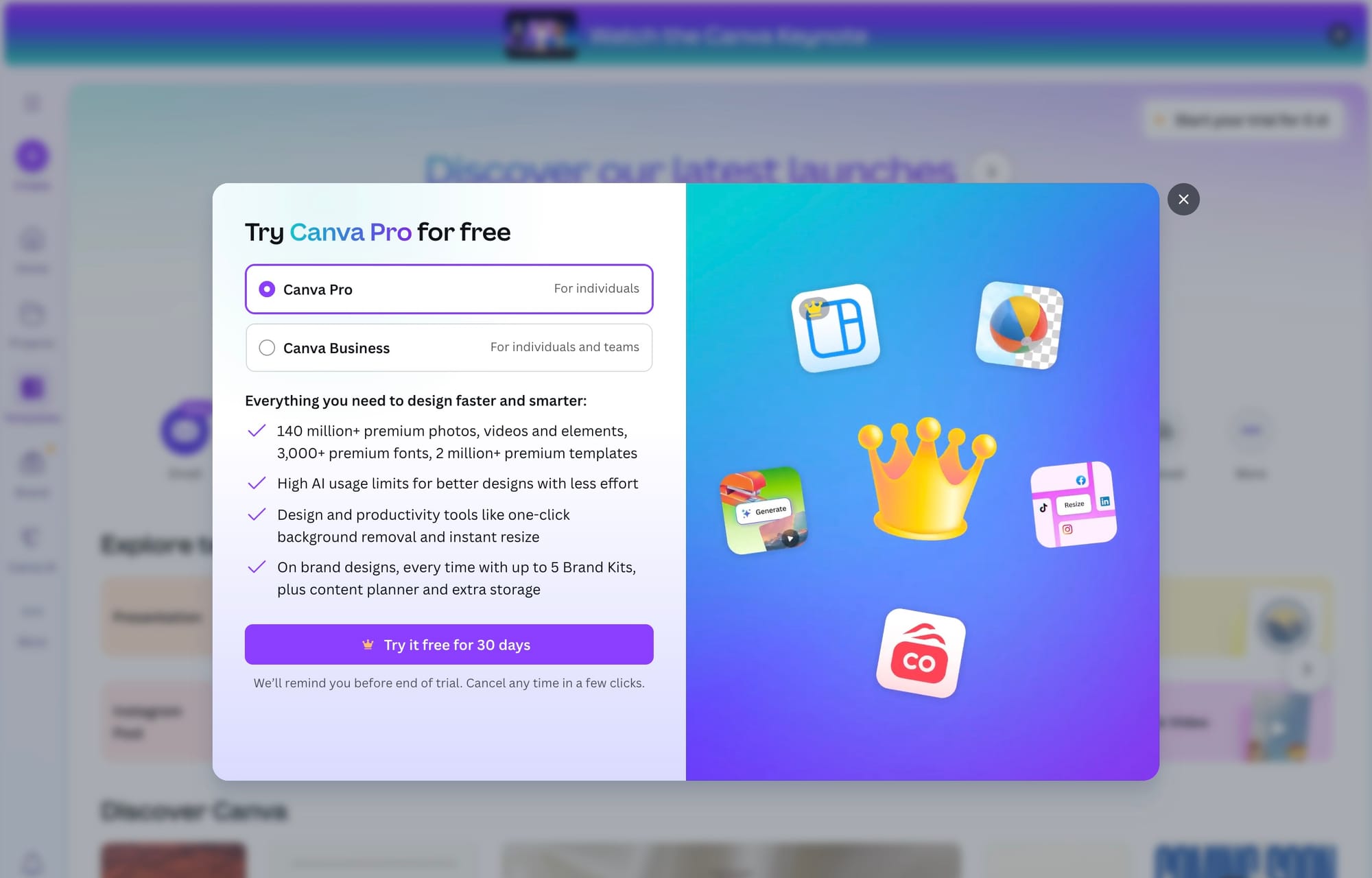 Canva Pro — Design Platform with AI