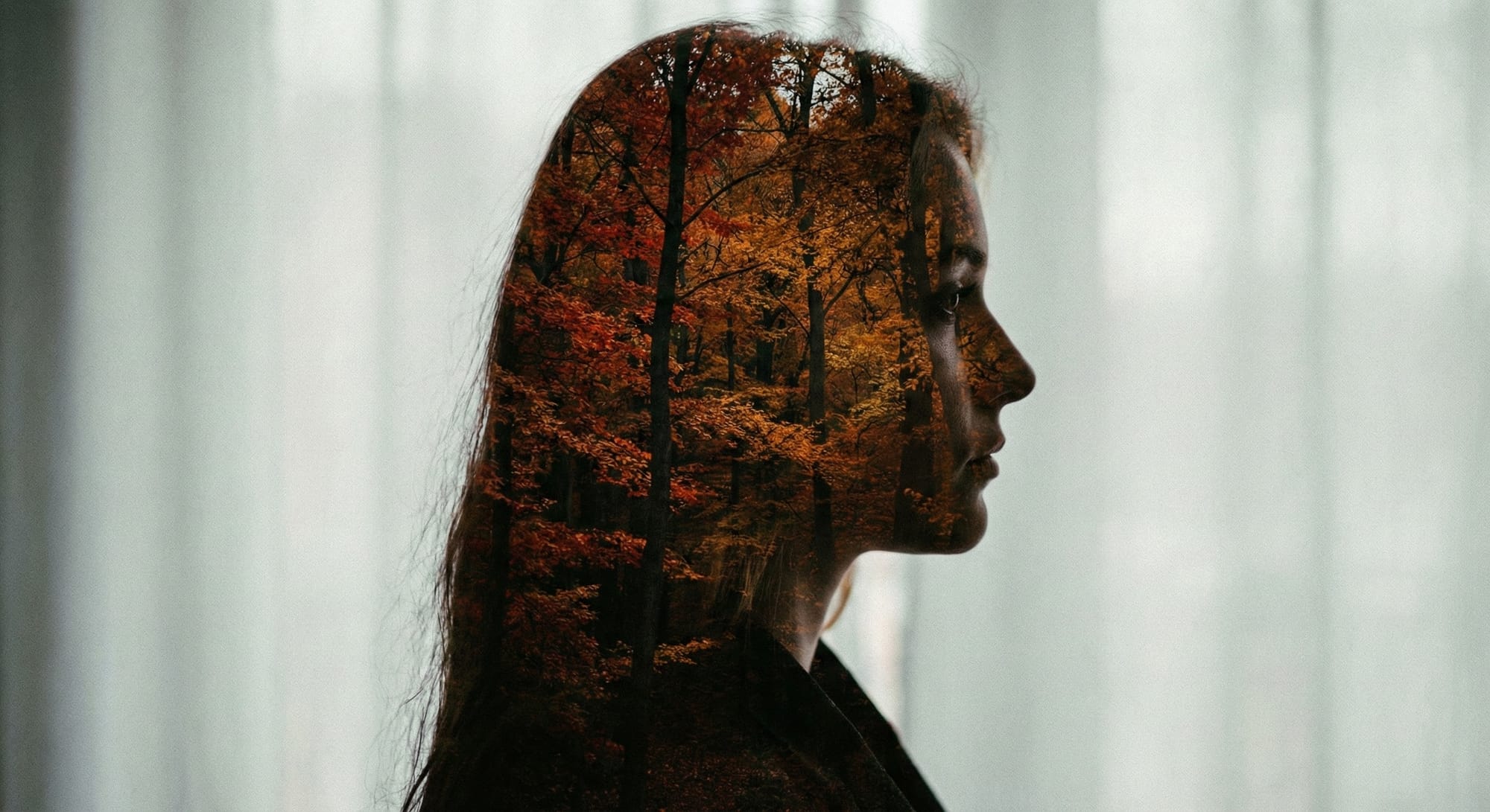 Portrait of a woman with double exposure effect: face combined with autumn forest visible within the silhouette, artistic photography, moody lighting